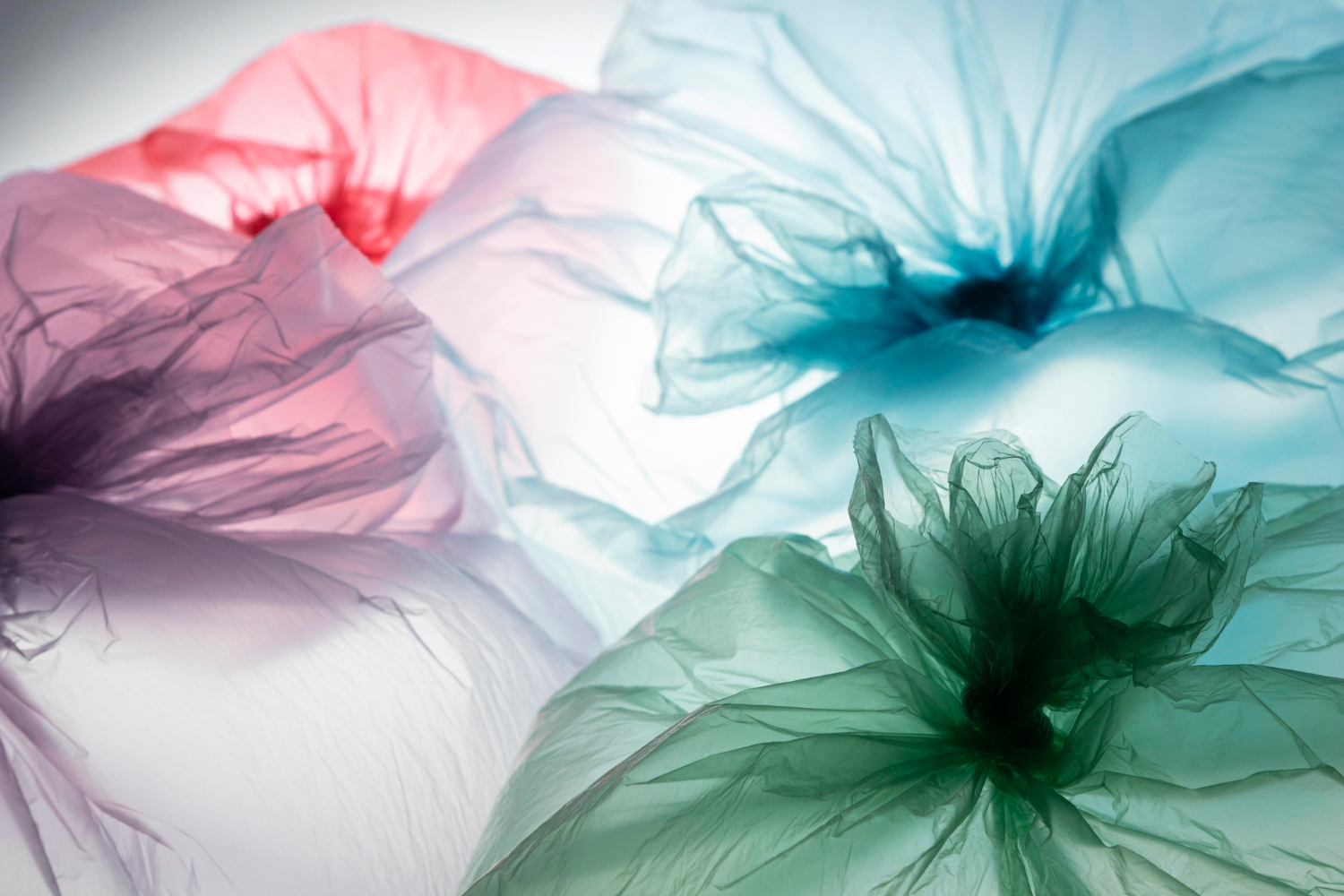 Plastic covers, Queer chaos and everything in between